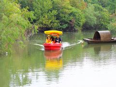 -吴淞炮台湾湿地森林公园烧烤区