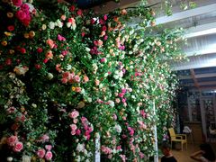 大堂-辛德勒啤酒德餐厅