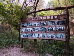 -井塘古村
