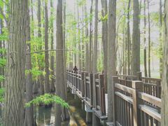 -东湖落雁景区