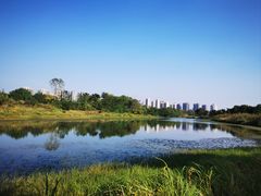 -洋湖国家湿地公园