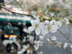 -上海南浦大桥长途旅游客运站