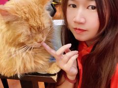 -猫小院猫主题咖啡厅(北锣店)