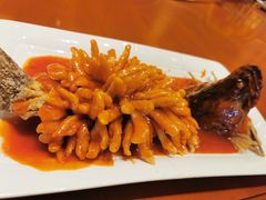 松鼠桂鱼-金贵源食神(楚河汉街店)