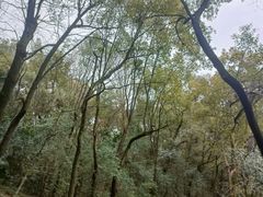 -石峰公园