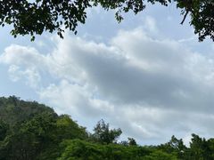 -野象谷景区