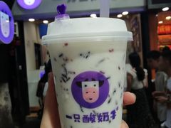 -一只酸奶牛(八一路店)