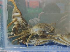 -阳澄湖大闸蟹·琼灵阁牌品牌连锁(吴中总店)