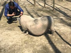 -昆山城市生态森林公园