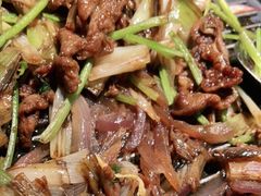 北京烤肉-青年公社烤鸭(青年路店)