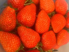 -雅典皇宫洗浴健身俱乐部(东岳大街店)