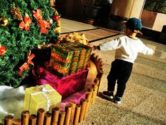 -南京维景国际大酒店(南京博物院店)