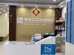 -美联众合动物医院·内科·皮肤科·外科(古城分院)