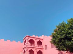 -漳州滨海火山岛自然生态风景区