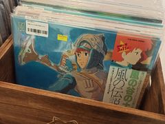 -浣熊唱片店(上海影城店)