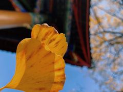 -金堂县云顶石城风景区