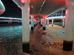 -演武大桥观景平台