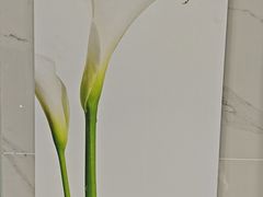 -福奈特洗衣洗鞋(宝华广场店)
