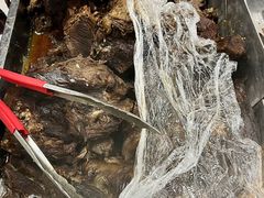 -大益烤鸡