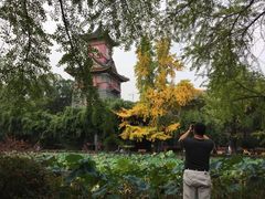 -四川大学(华西校区)