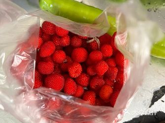 来自田园的新鲜直送外卖