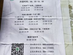 -西双版纳原始森林公园