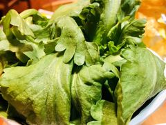 -芦月轩羊蝎子(劲松店)