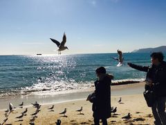 -海云台海滩