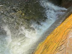 -陕西省红河谷森林公园