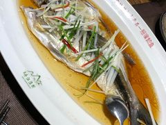 清蒸翘嘴鱼白-丹江渔村(首都机场店)