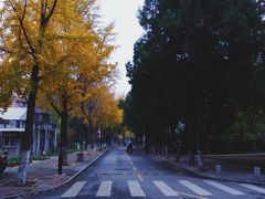 -山东大学(趵突泉校区)