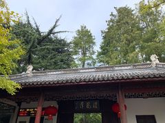 -汇龙潭