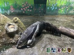 -常州淹城野生动物世界