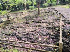 -海口火山口国家地质公园