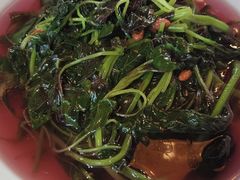 -张家卫·阳江菜·小海鲜(肥婆湾桥店)