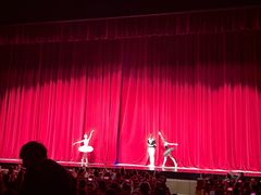 -交通银行前滩31演艺中心