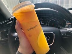 -SENTEA森茶(麦地丽日店)