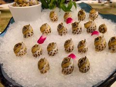 -寻味顺德·珍之宝酒楼(银钻店)