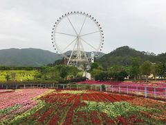 -望天湖