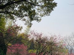 -宜兴龙背山森林公园