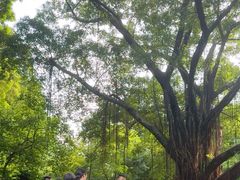 -晓港公园