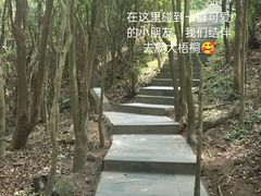 -梧桐山风景名胜区