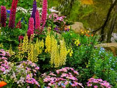 -上海共青森林公园