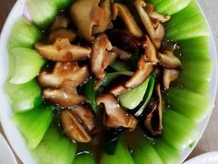 -天鹅到家·保姆月嫂育儿嫂(南开店)
