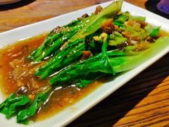 鲮鱼油麦菜-听香·678茶铺(猛追湾店)