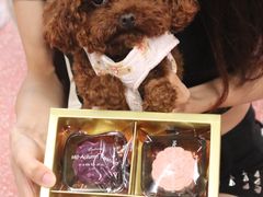 -帕帕拉兹宠物(亚洲旗舰店)