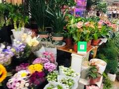 -朝内南小街菜市场