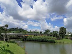 -王借岗森林公园