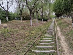 -永定河休闲森林公园