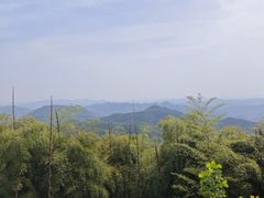 -莫干山风景区